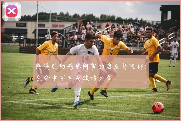 阿德巴约感恩阿贾的启发与陪伴：生命中不可或缺的力量