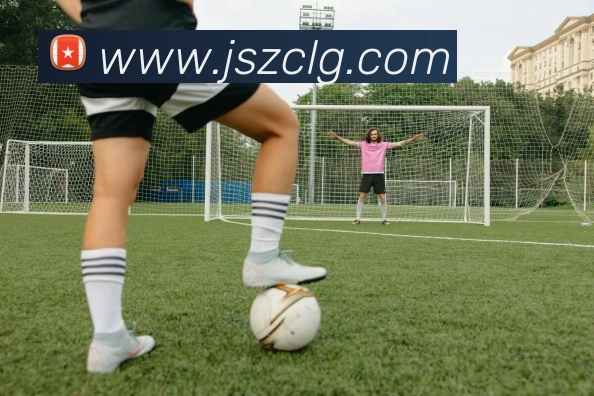 华体会体育，华体会（中国）平台生态图